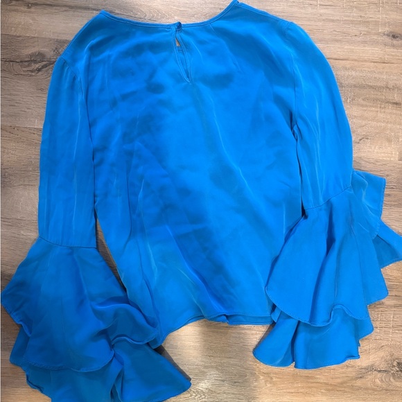 Blue Ruffled Sleeve Top - Picture 3 of 3
